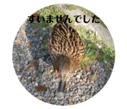 770139527