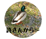 770139528