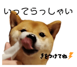 770147723
