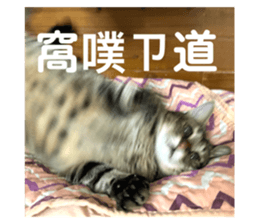 770155770
