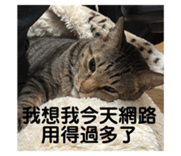 770155784