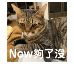 770155791