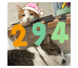 770166994