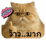 770179934