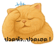 770179939