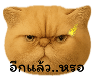 770179944