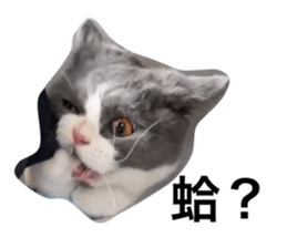 770181876