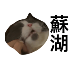 770181878