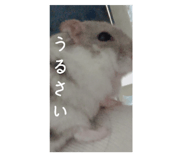 770182163