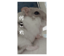 770182167