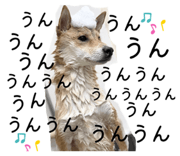 770183176