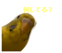 770184124