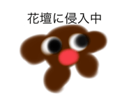 770193167