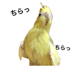 770193570