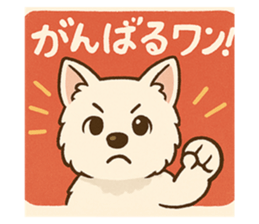 770207612