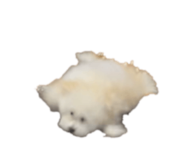 770209968