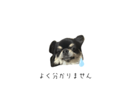 770223561