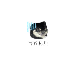 770223563
