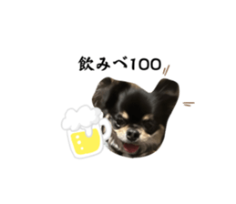 770223568
