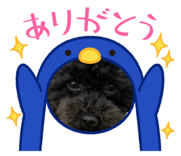 770225226