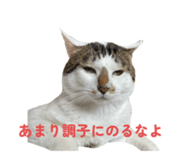 770227540