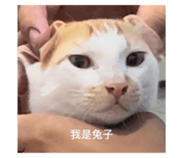 770229404