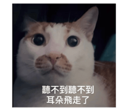 770229405