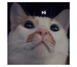 770229406