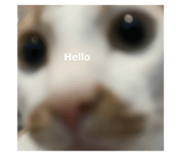 770229410
