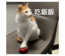 770229415