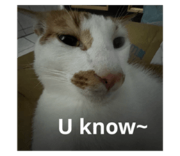 770229428
