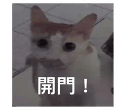 770229431