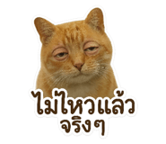 770233657
