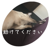 770238716