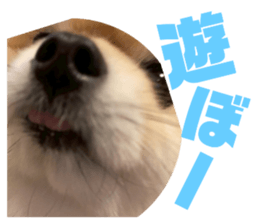 770239096