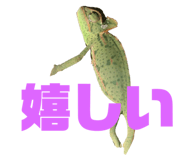 770245067