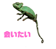 770245069