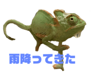 770245070