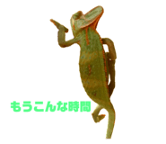 770245074