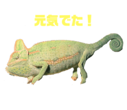 770245078