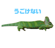 770245080