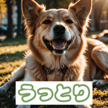 770246980