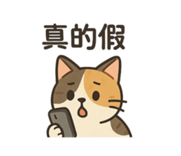770258633
