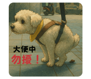 770262026