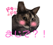 770270295