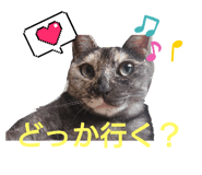 770270296
