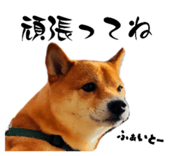 770292215