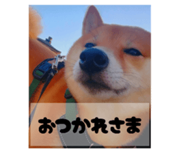 770292217