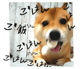 770292226