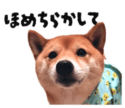 770292238